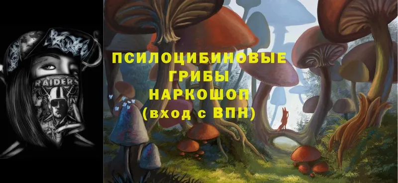 Псилоцибиновые грибы мицелий  Верея 